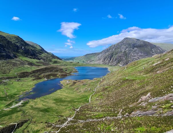 WhatsApp Image 2023-03-21 at 6.48.47 PM